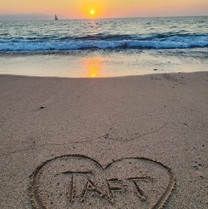 Meet your Posher, Sassafras